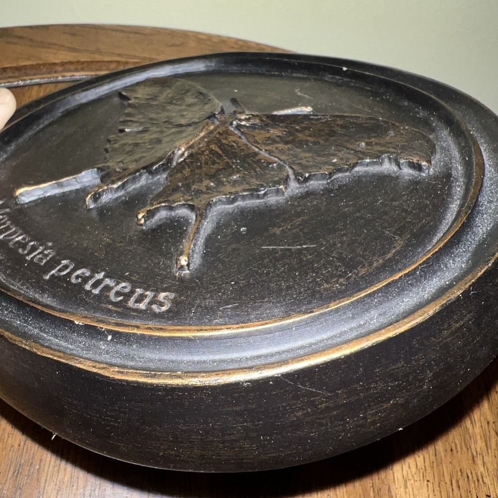 Vtg House Parts Inc Butterfly Wall Plaque Oval Antique Bronze Entomology Moody - Picture 4 of 6